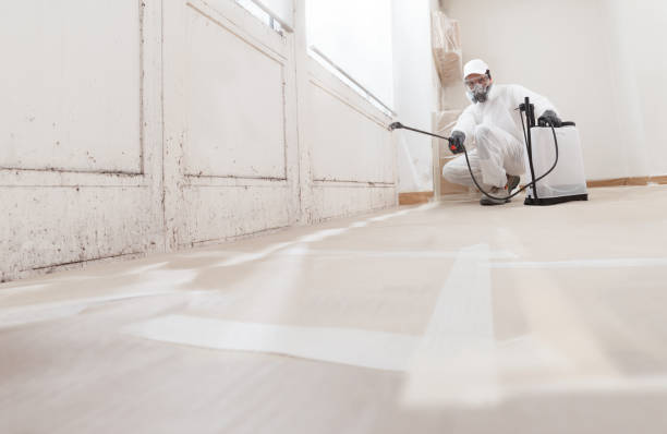 Black mold remediation team in Lykens